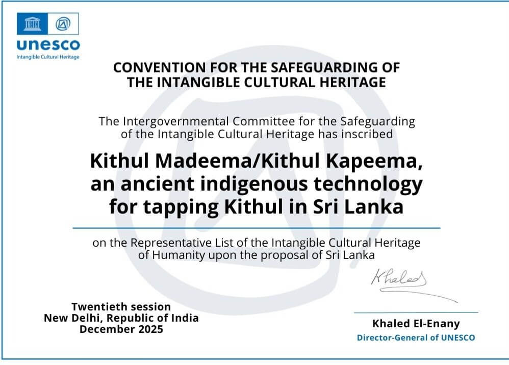 Kithul Madeema: Sri Lanka’s Traditional Kithul Tapping Recognized by UNESCO: congratulations Dr. Raveendra Withanachchi Kithul Madeema: Sri Lanka’s Traditional Kithul Tapping Recognized by UNESCO: congratulations Dr. Raveendra Withanachchi